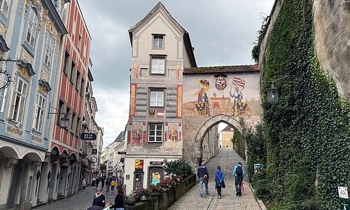 Steyr Trip
